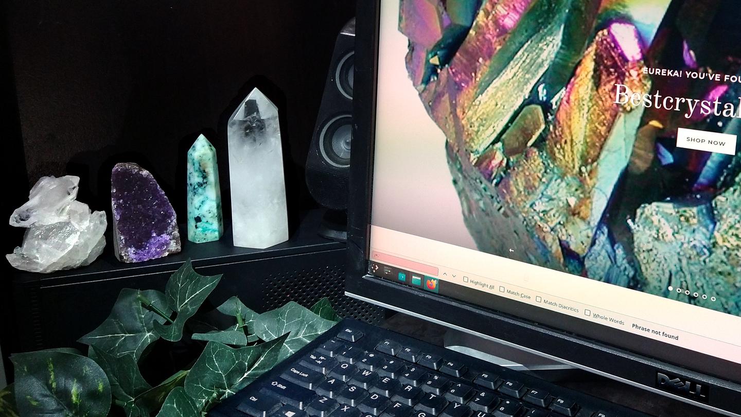 Staged photo of a Web browser in focus and some specimens on the left